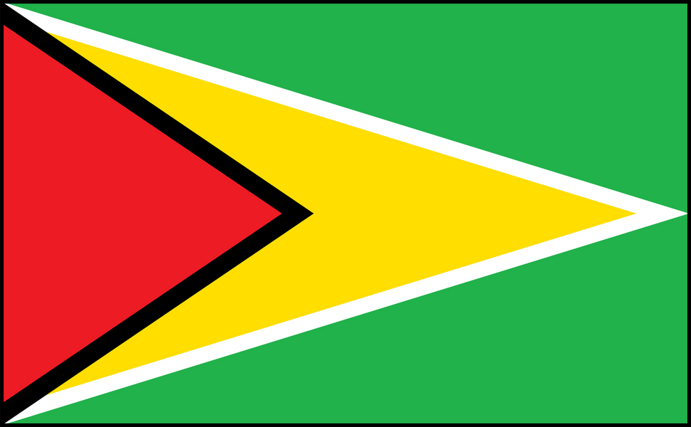 Image of Guyana flag