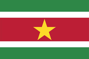 Suriname Flag Image
